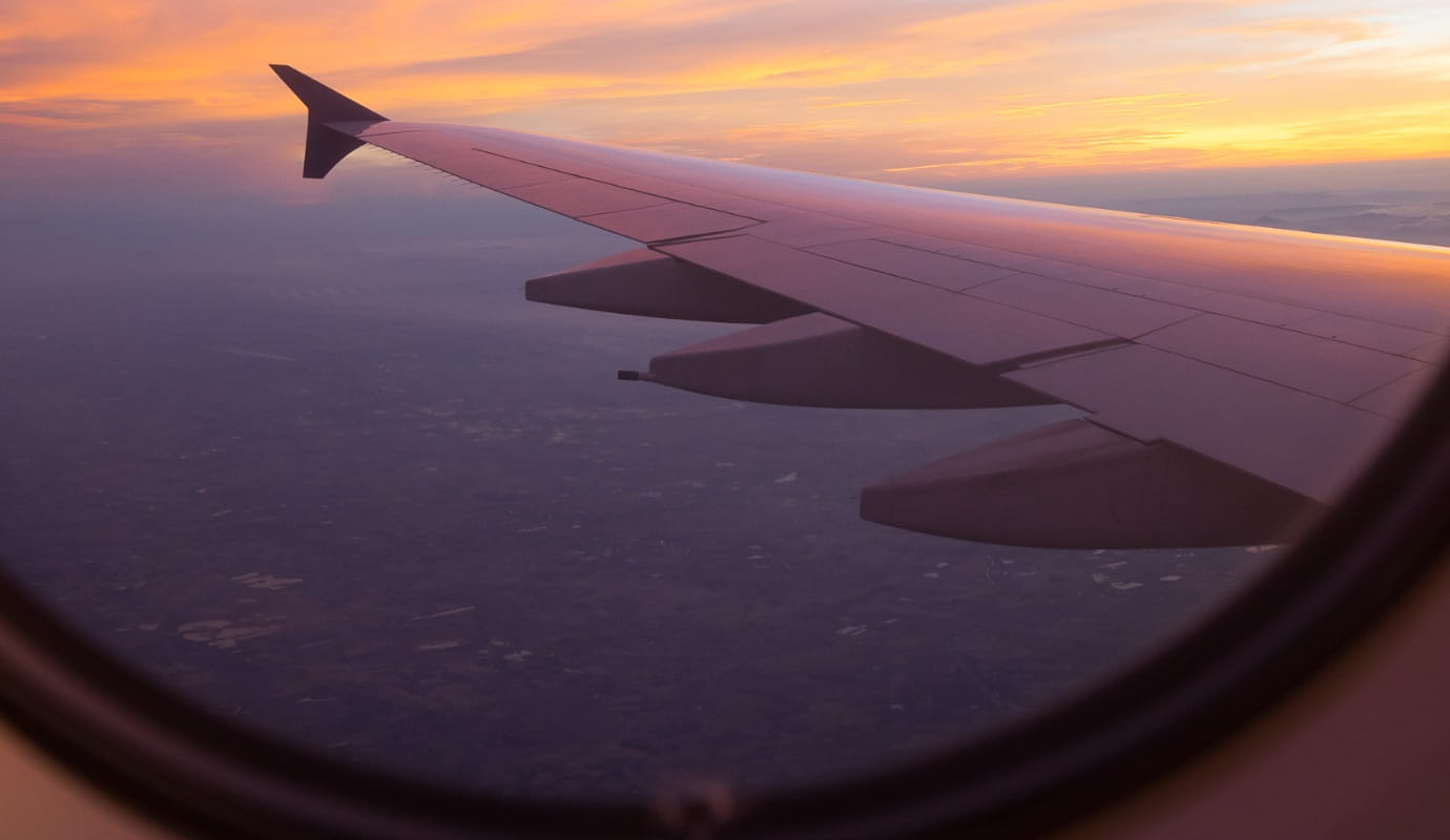 Plane wing