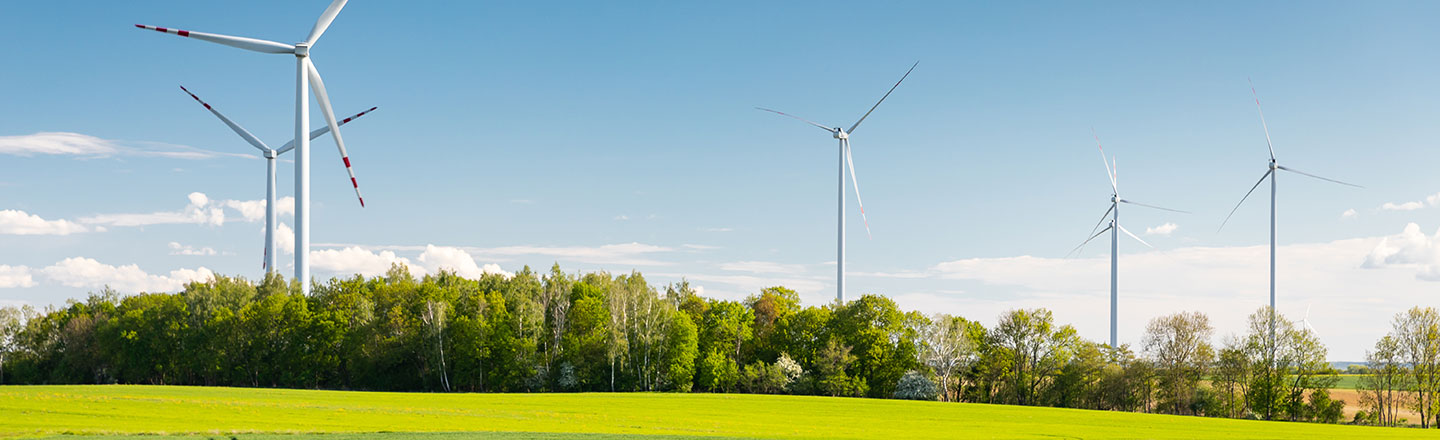 Windmill farm