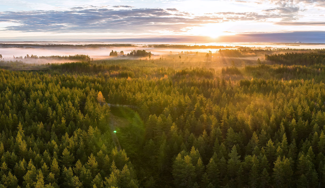 Agri timberland hero image