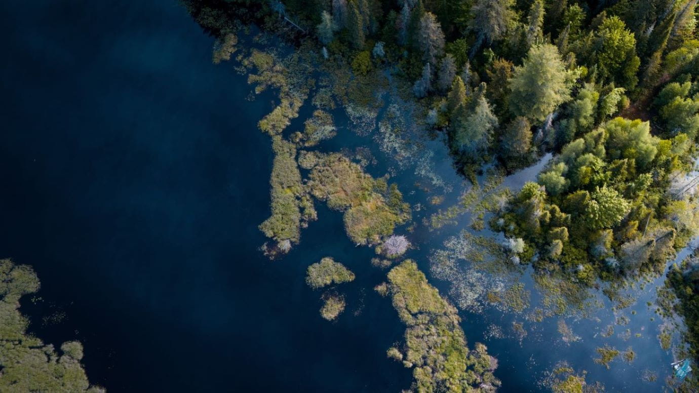 investing in nature