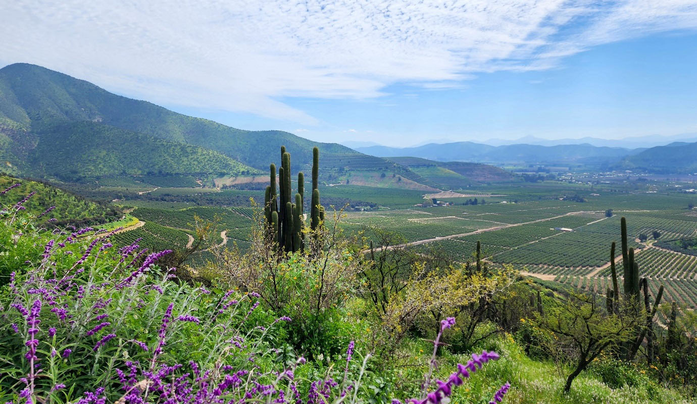 Chilean landscape